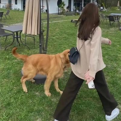 出走的女人